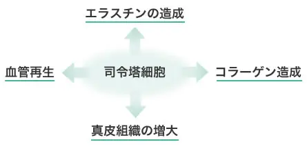 ニキビ跡治療のサポート治療 成長因子（GFブースターパック、PFD） | セオリークリニック- 東京・銀座の美容外科・美容皮膚科