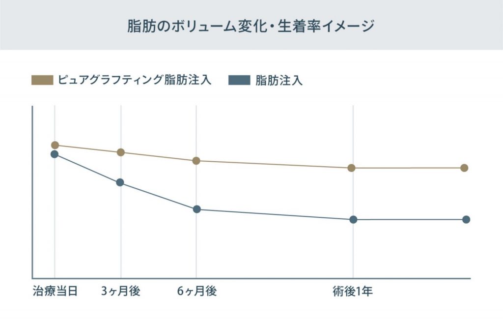 脂肪のボリューム変化・生着率イメージ